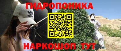 ПСИЛОЦИБИНОВЫЕ ГРИБЫ Северобайкальск