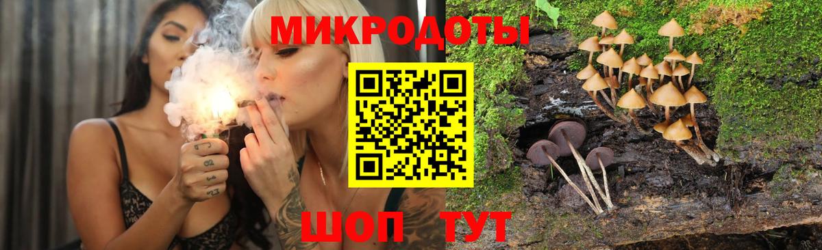 Псилоцибиновые грибы мицелий  Вход с VPN  Обь 